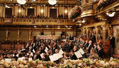 rolex-WPO25dn 014-desktop