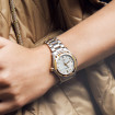 EBEL 1911 - Bild 3