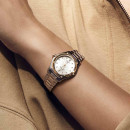 EBEL 1911 - Bild 2