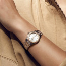 EBEL 1911 - Bild 2