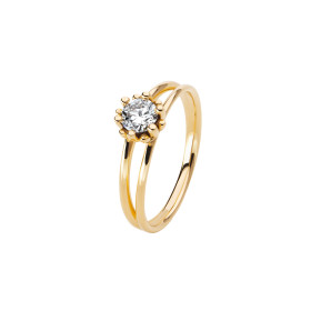 Gelbgold, Ringe, Schmuckwerk Edelweiß Ring, Ref: FR124-GG