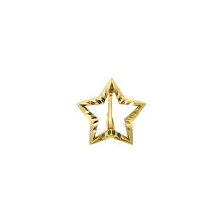 Gelbgold, Armschmuck, Zig Zag by Natalie Zig Zag Stern-Clip Anhänger, Ref: 00121242