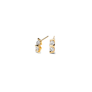 Gelbgold, Ohrringe, Niessing Vivida Ohrstecker, Ref: N404972-4mm-0.23ct-cy