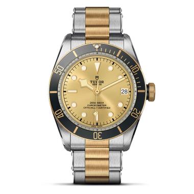 Unisex, Automatik, TUDOR Black Bay S&G