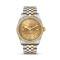 Bicolor, Gelbgold, Champagner