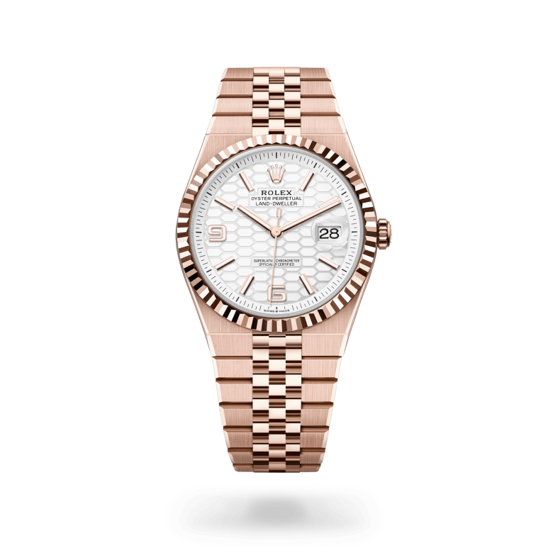 Rolex Land-Dweller 40 127335 Herrenuhr Bild 1