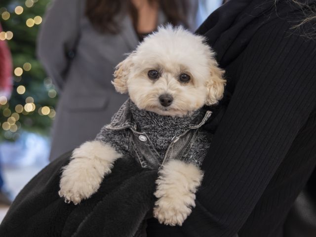 Epple_Eroeffnung_086